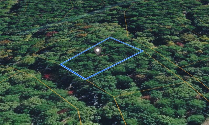 Carousel Image 3